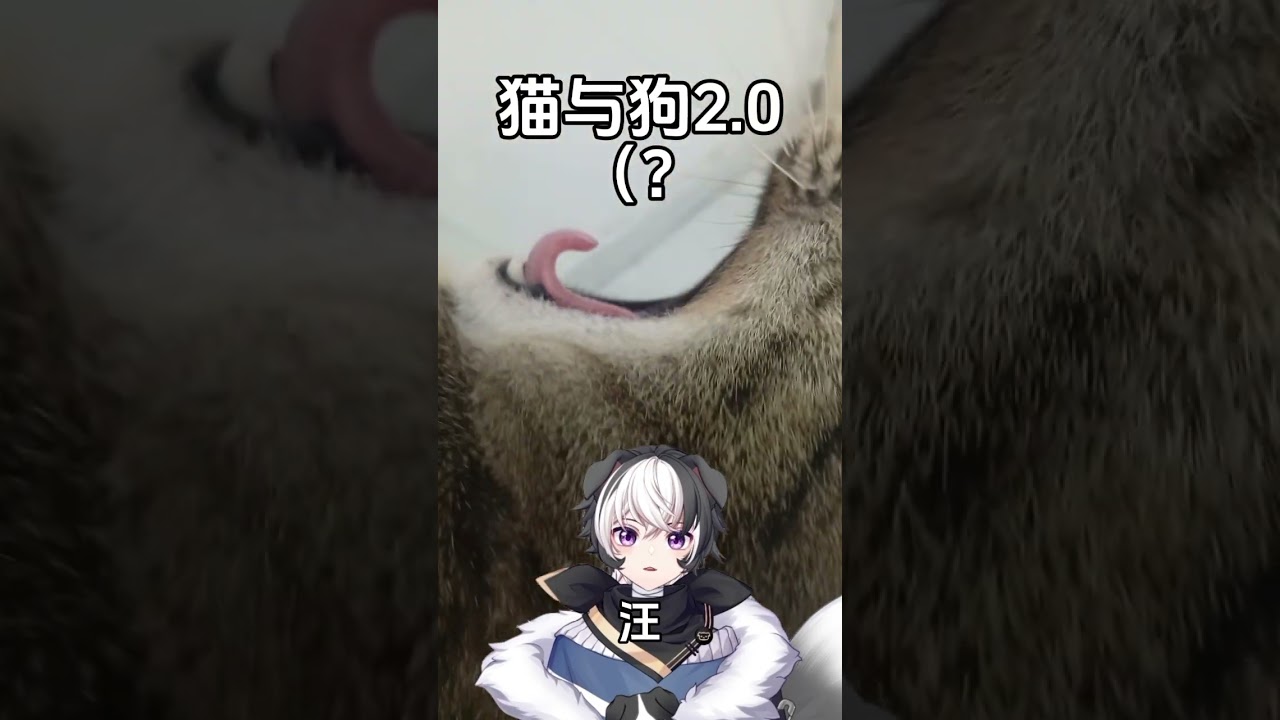 我不知道为什么我要对猫学狗叫#vtuber #马v #新人vtuber | MYViki