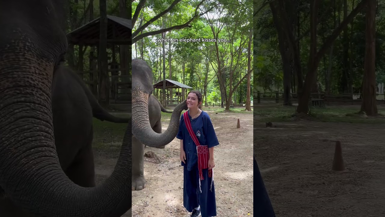 Elephant kisses! The  sweetest teen tour experience on our Elephant Conservation Project in Thailand