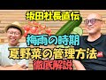 【梅雨対策】夏野菜苗の管理の仕方を楽しく解説