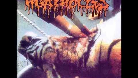 Agathocles - Labelisation