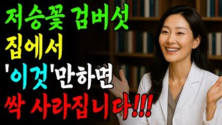 돈 한 푼 안 들이고 검버섯 없애는 법, 서울대병원 피부과 전문의가 알려드립니다/검버섯제거/노인건강/노후건강/노인지혜/피부미용