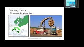 Trees of Europe - SFA Dendrology Lecture (FORS 2319)