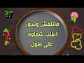    بيتزا شقاوة بمدينة بنها