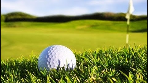 Thảm cỏ nhân tạo BELLINURF - Chất lượng, uy tính, bền đẹp, đã có mặt tại Việt  Nam