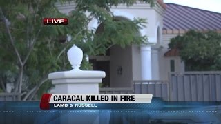 Exotic cat dead after fire at rapper Mally Mall's house