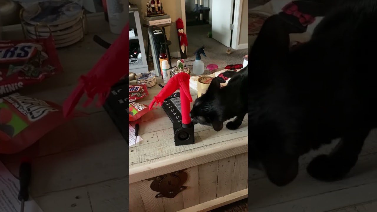 Worlds Smallest Wacky Waving Inflatable Tube Guy. 