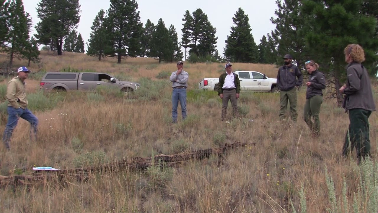 Benefits of Managing Cheatgrass