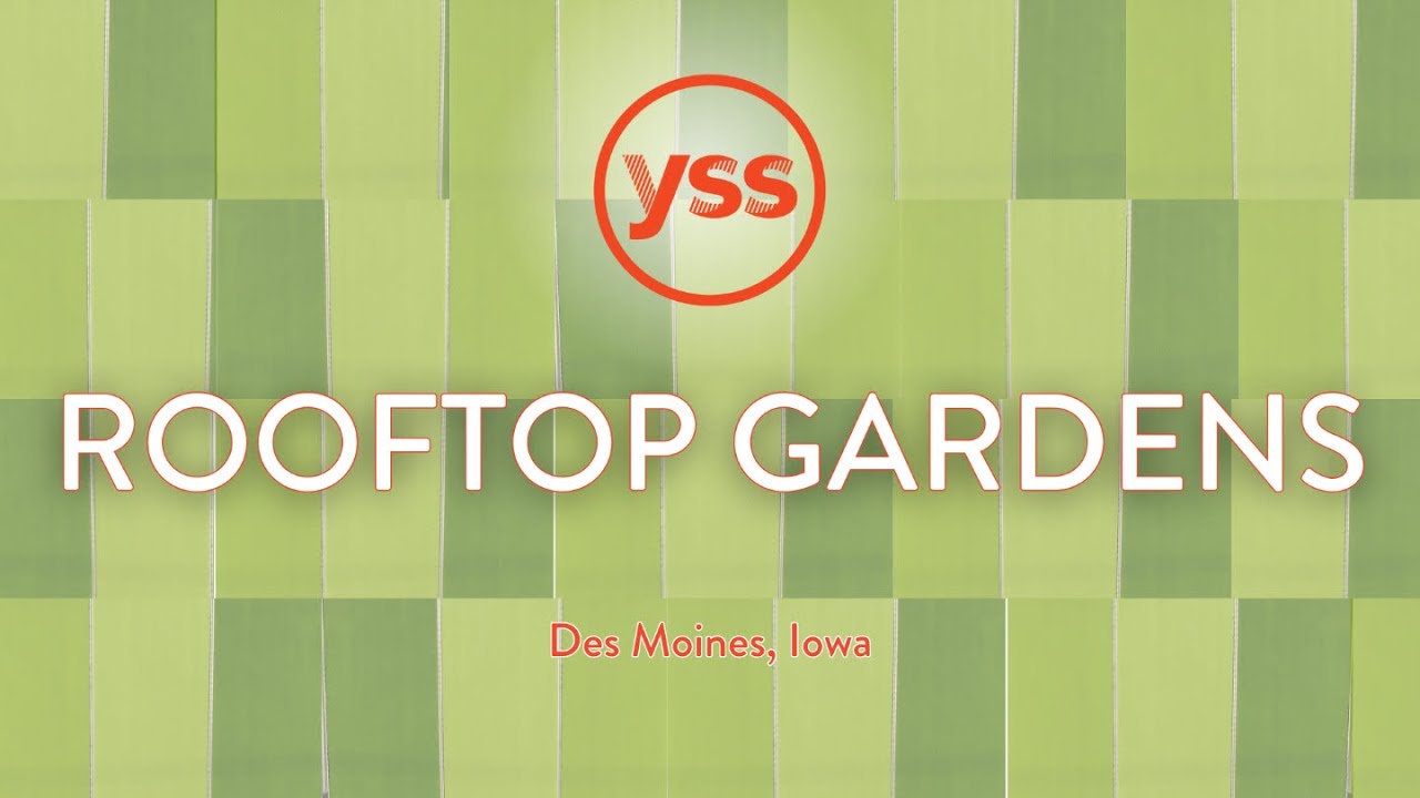 Introducing YSS Rooftop Gardens - YouTube