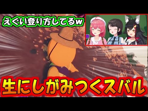 生にしがみつくスバル【大空スバル/さくらみこ/大神ミオ】