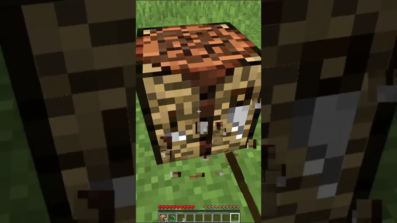 You Can Control Habibi In MineCraft !