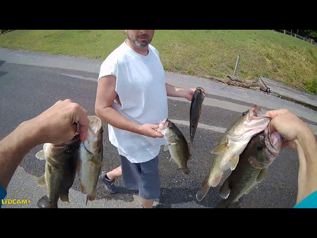 Catching a Ton of Fish with Bobber and Worm! 