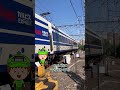 カルピス電車を見る！
