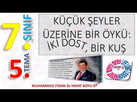 7.SINIF | 5.TEMA | KÜÇÜK ŞEYLER ÜZERİNE BİR ÖYKÜ | DİNLEME METNİ CEVAPLARI (HD) SF 161...165