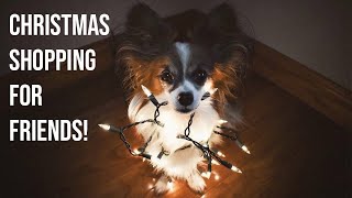 Percy Goes Secret Santa Shopping // Percy the Papillon Dog by Percy the Papillon 1,941 views 3 years ago 2 minutes, 56 seconds