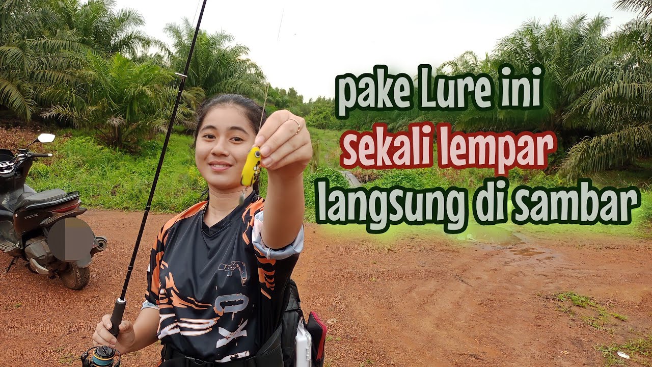 Umpan soft frog killer untuk casting gabus || Lady Angler