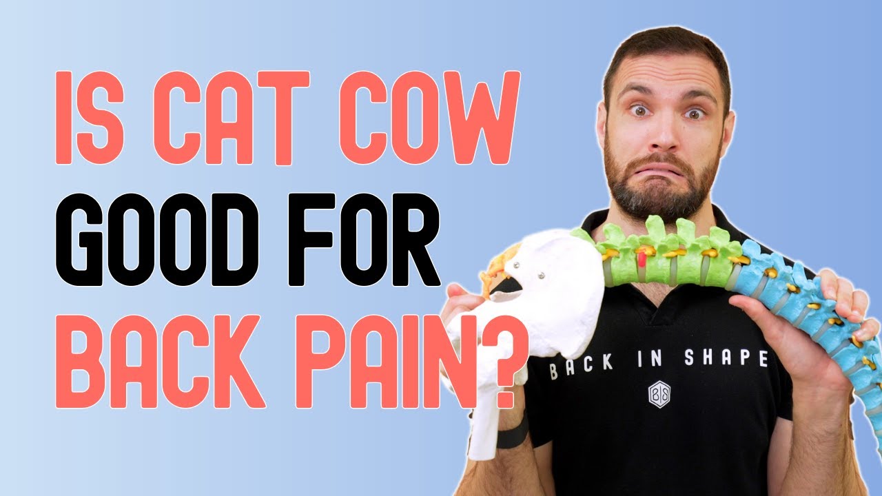 Should You Be Doing The Cat Cow For Back Pain Relief?