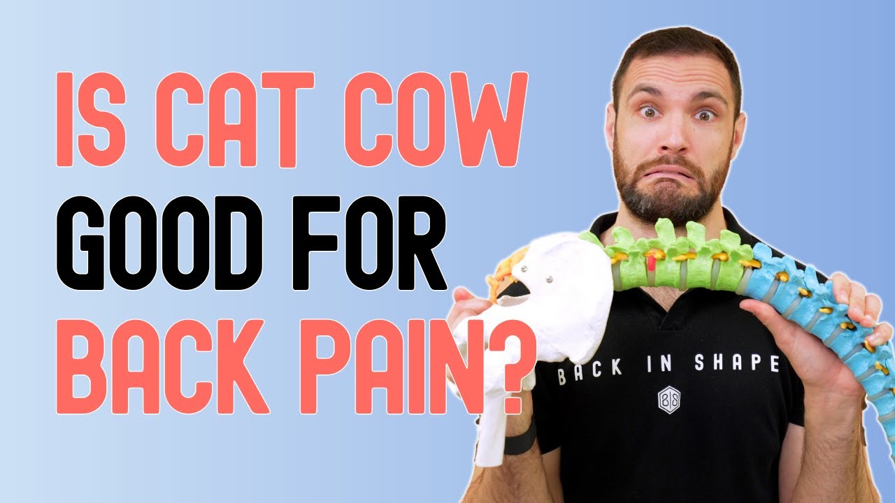 Should You Be Doing The Cat Cow For Back Pain Relief? BISPodcast Ep