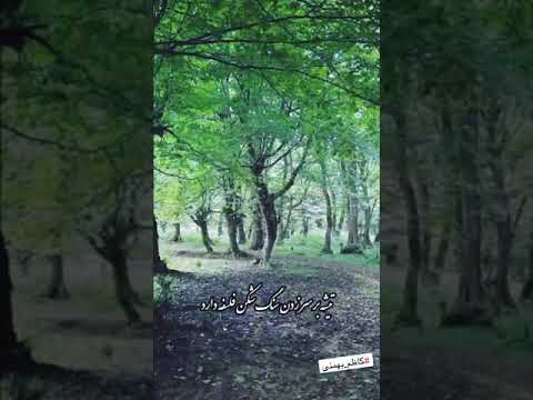 کاظم بهمنی