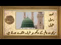              سرکار دو عالم کے دیکھو