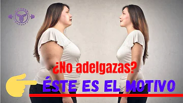 ¿Cuáles son los 3 alimentos que hay que evitar para adelgazar?