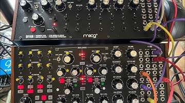 Dope & Dubby with Moog Subharmonicon + DFAM by Saya 