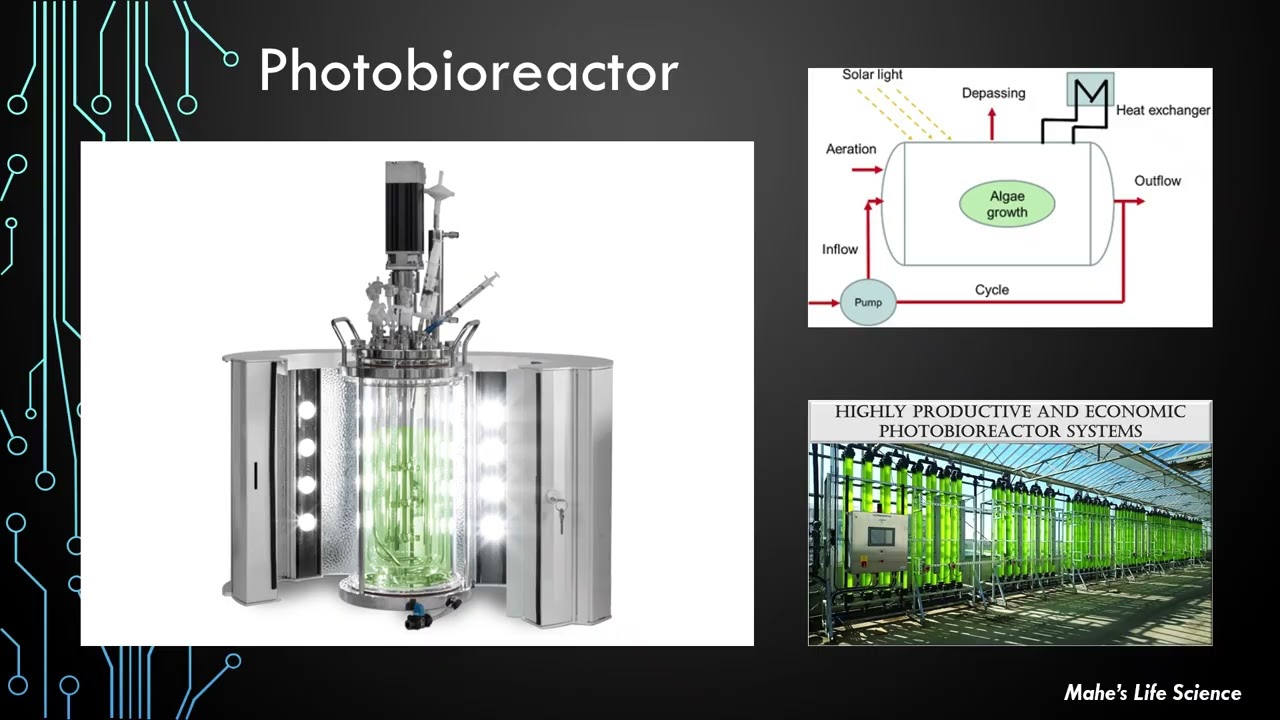 Photobioreactor _ Mechanism, Types, Applications & Limitations
