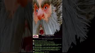 When Other Faction Free the Slaves in the Mines of Hag Graef