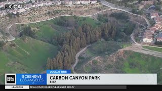 Look At This: Carbon Canyon Park