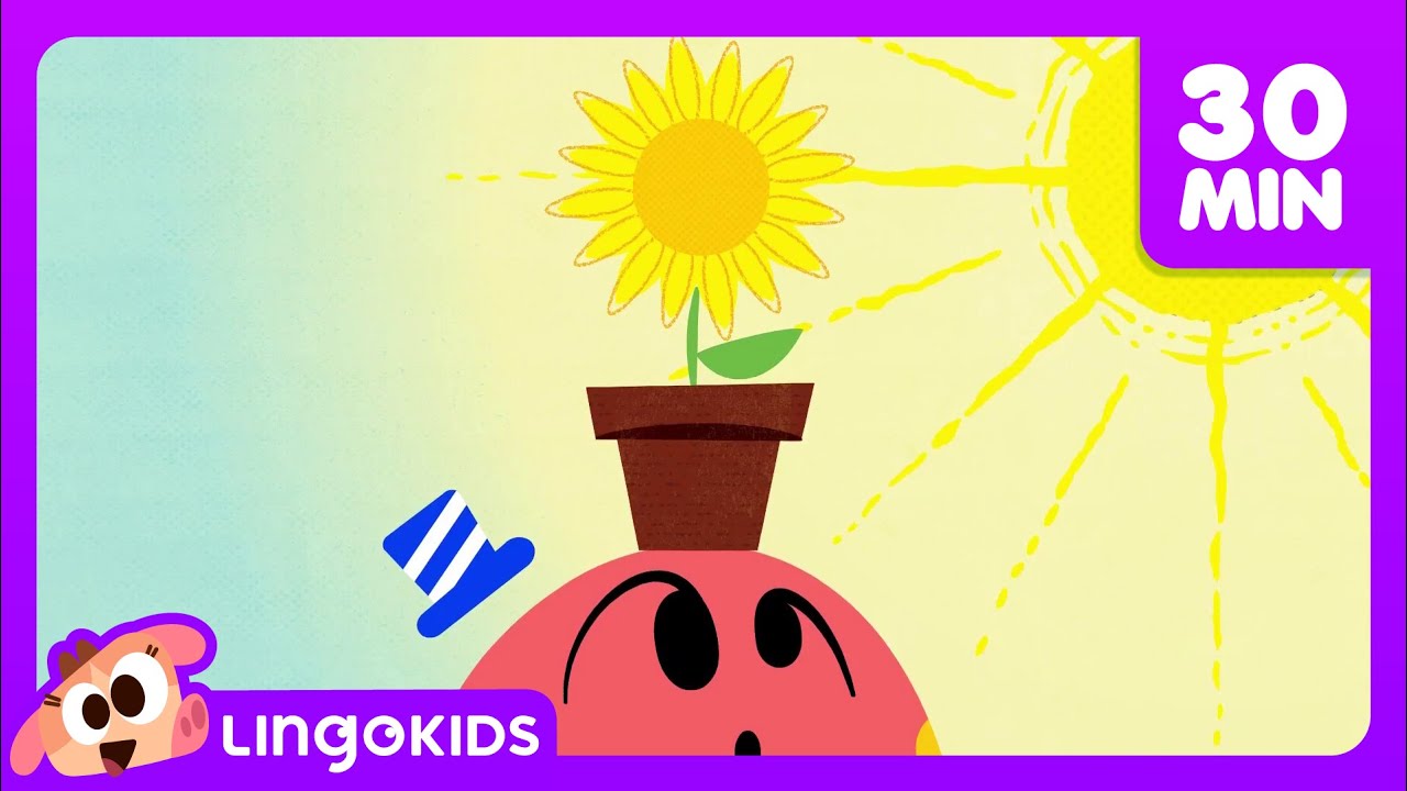 bees-dinosaurs-and-more-fun-cartoons-science-for-kids-lingokids