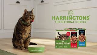 Harringtons Wet Cat Advert 2023