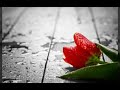 Mere Sanam Teri Kasam | Tumse Milke | Female version | Love❤ Status