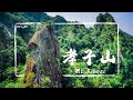 【孝子山】20分鐘就登頂！兩小時爬完平溪三顆山，孝子山、慈母峰、普陀山/丹健行SOLO Hiking in Taiwan #05 Vlog#68