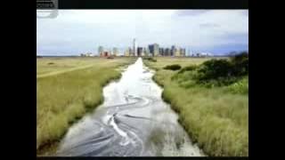 Download lagu Indosiar Djarum Super Mild 23 46 Rawa Buaya