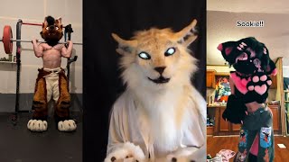 Fursuit & Dino Mask TikToks - New Compilation #