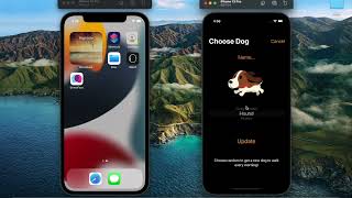 Adding widgets to iPhone home screen screenshot 5