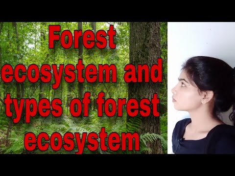 #वन पारिस्थितिकी तंत्र और #वनों के प्रकार (स्थलीय पारिस्थितिकी तंत्र) वंदना सेहरा द्वारा व्याख्यान