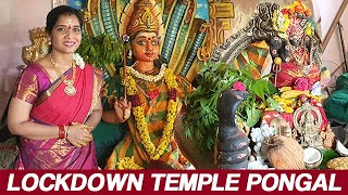 Lockdown Temple Pongal | 1 Lakh Subscribers Celebration | கோயில் சக்கரை பொங்கல் | Lakshya