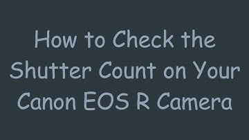 How to Check the Shutter Count on Your Canon EOS R Camera