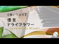 【弾いてみた】ドライフラワー / 優里（Covered by Misaki） - 演奏企画第1弾