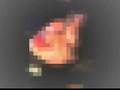Wer Bin Ich 