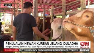 Jual Hewan Kurban Via Online | REDAKSI PAGI (27/05/24)