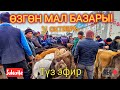 Өзгөн мал базары! 31 Октябрь