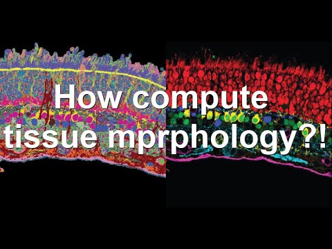 Sysbio vision