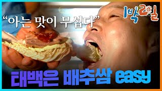 [밥친구 1박2일 시즌1] 58화. 호동의 쌈마이웨이~~ 밥 to the 차를 위한 8시간 대장정ㅠㅠ 태백은 배추쌈easyㅋㅋㅋ | KBS 080914 방송