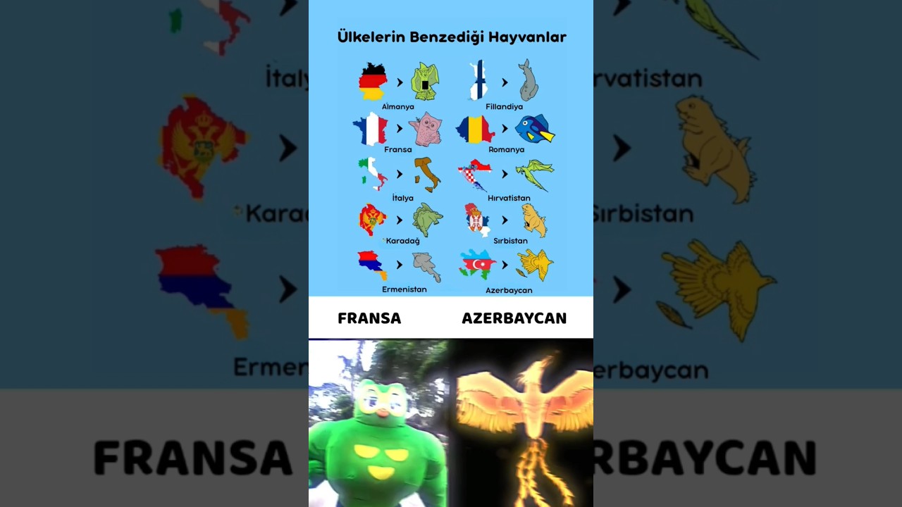 Fransa 🦉 Azerbaycan 🐦🔥