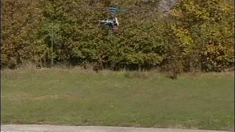 T REX 450 AREZZO NOVEMBRE 2008 - UN ANNO DOPO.....