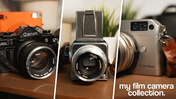 My Film Camera Collection