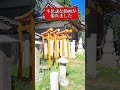神様を感じてください #Shorts