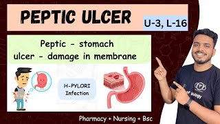 peptic ulcer || peptic ulcer pathophysiology || peptic ulcer pathophysiology b pharmacy pepticulcer