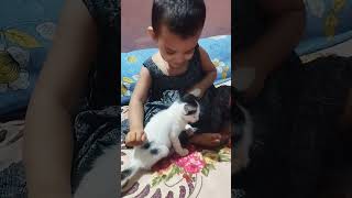 জাইফা বিড়াল নিয়ে খেলা করতেছে ? cat catlover cats viral tiktok funny shorts